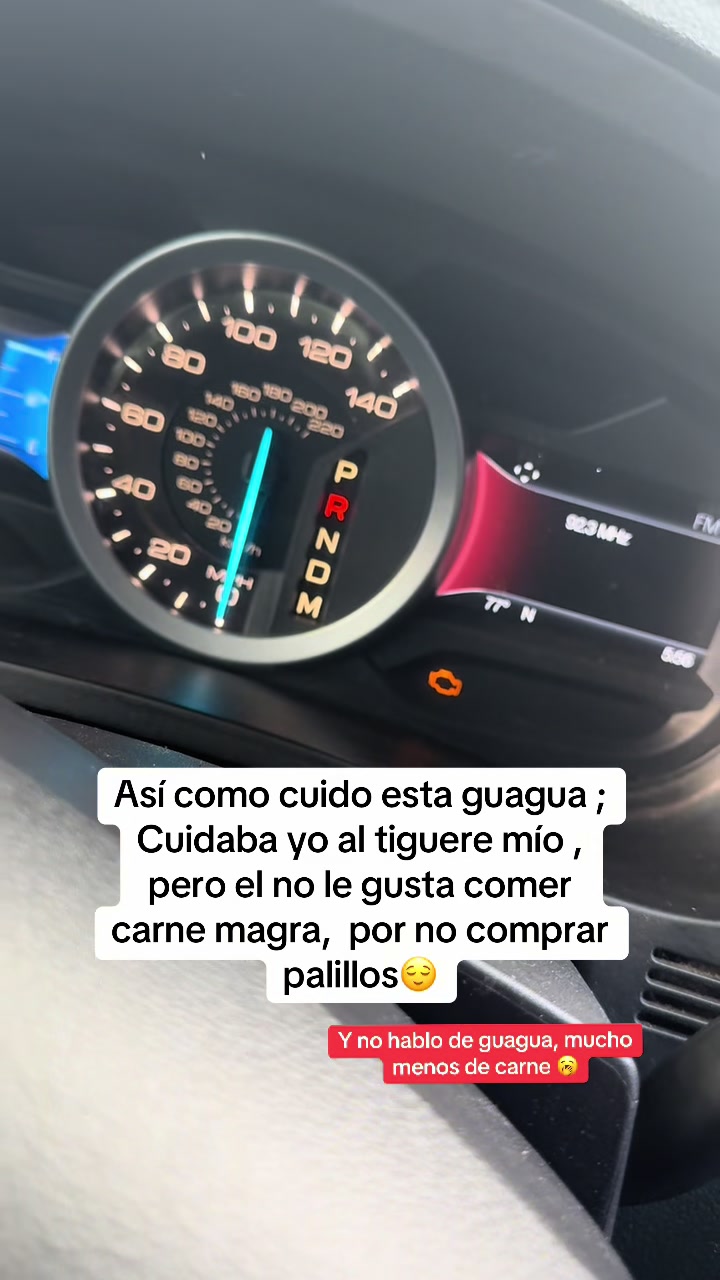 @LA Russa Castillo