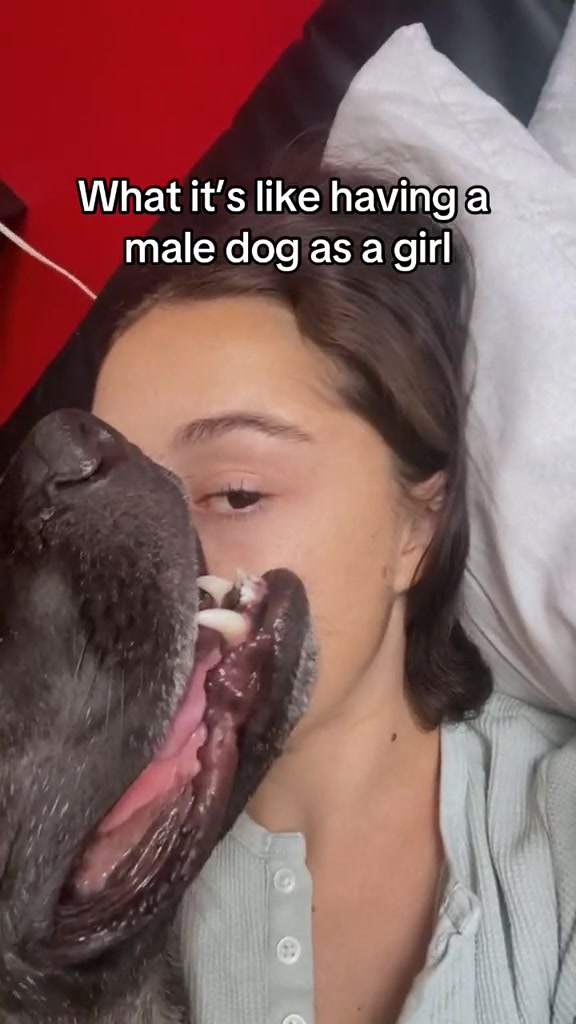 @Samiaoz