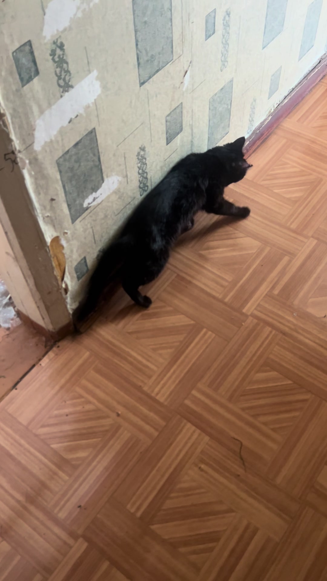 @Витя чайка