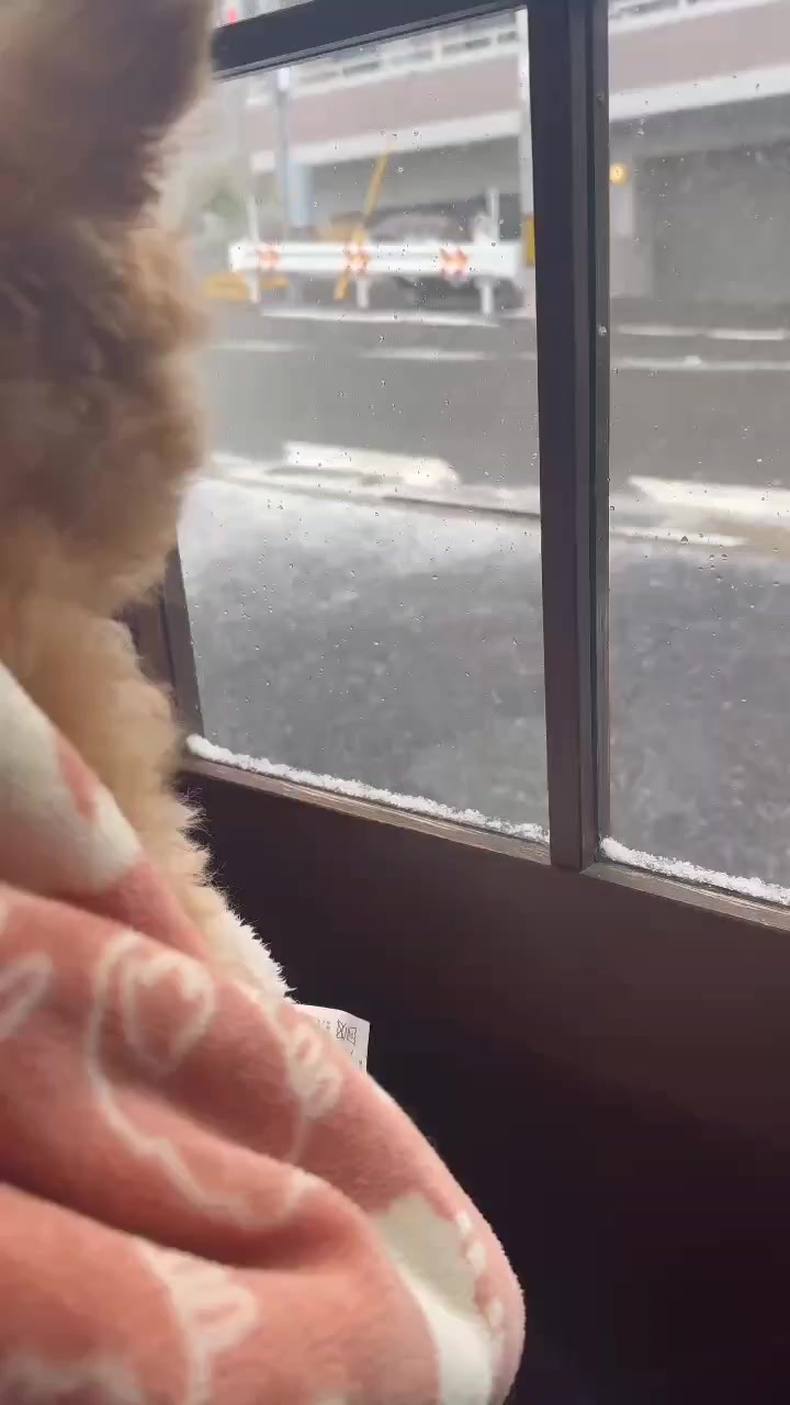 @aiko_dodekað¥
