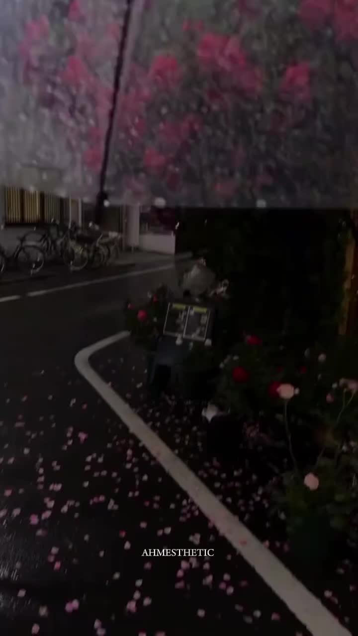 @𝒜𝐻𝑀𝐸🌸