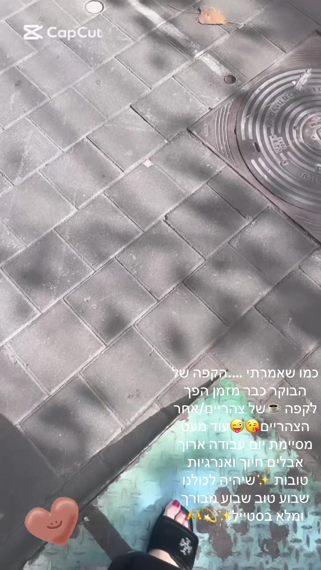 @סטיילינג/ שופרית /הום סטיילינג