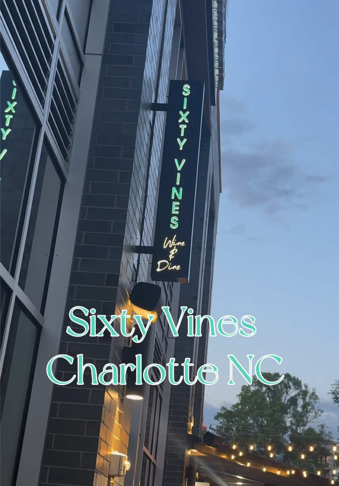 @Dina 💕 | CLT
