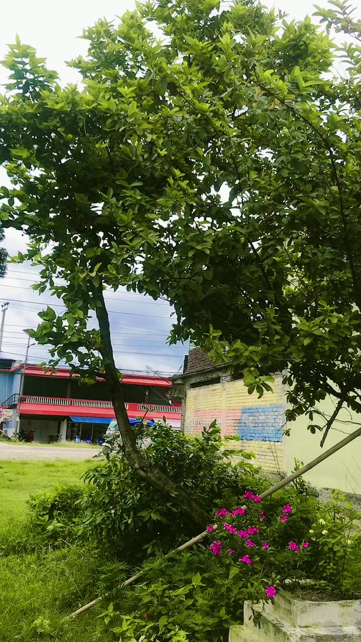 @niru🥰😊