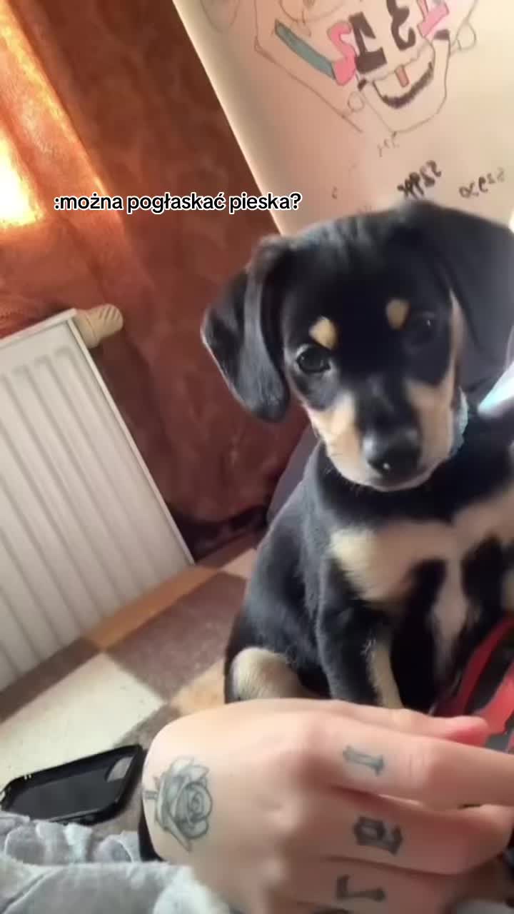 @nevciq0