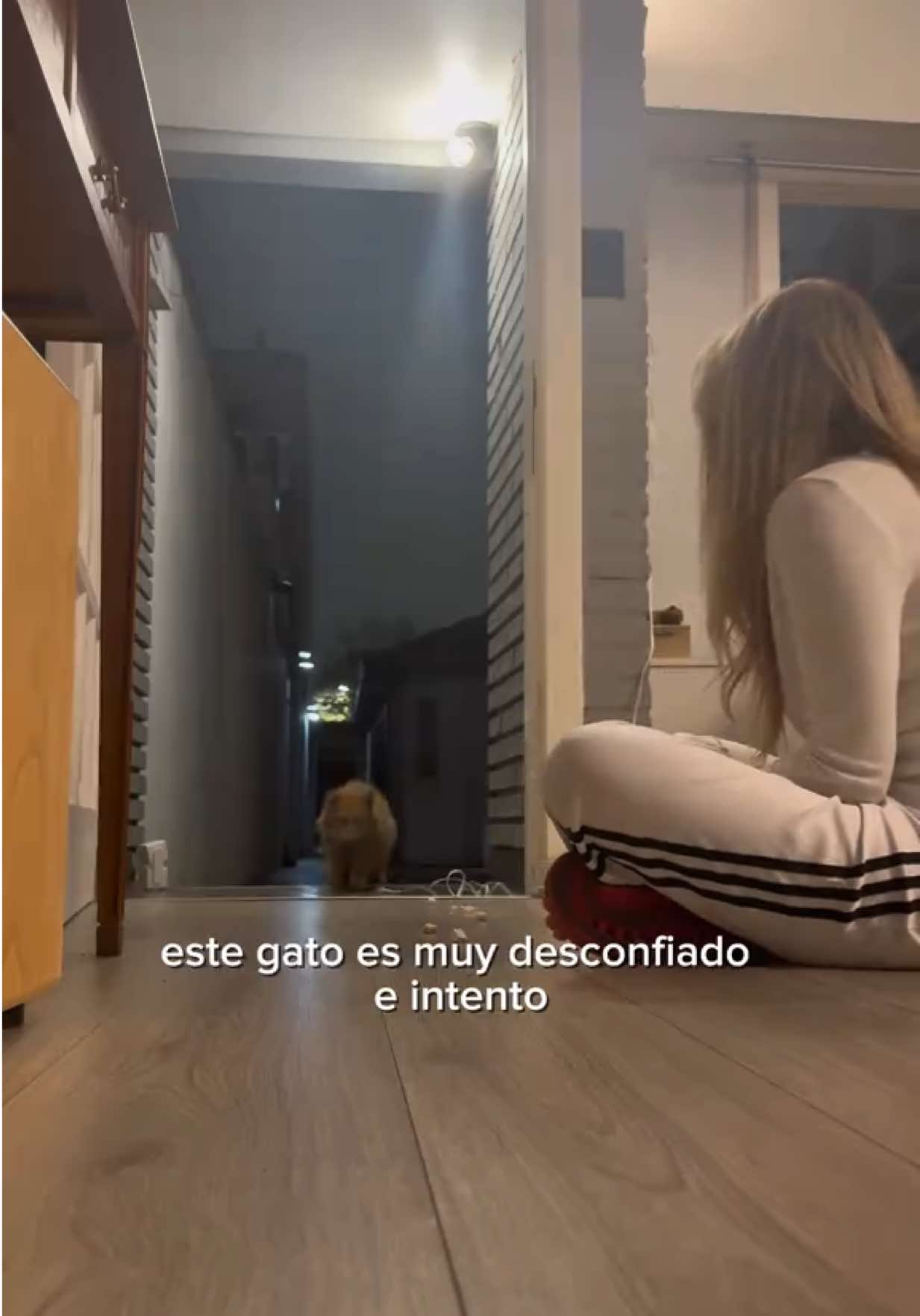 @Lucia Serenaa