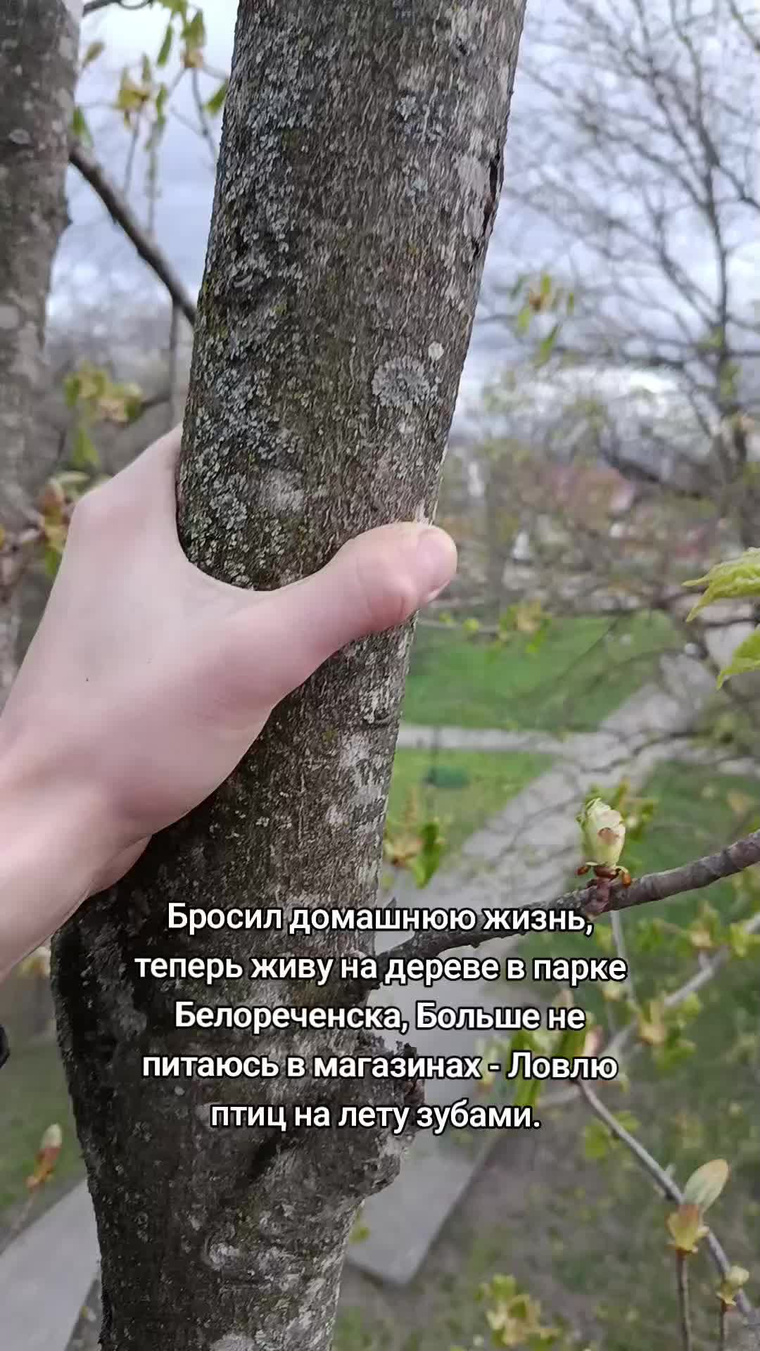 @Лучезарный хрякᛉ