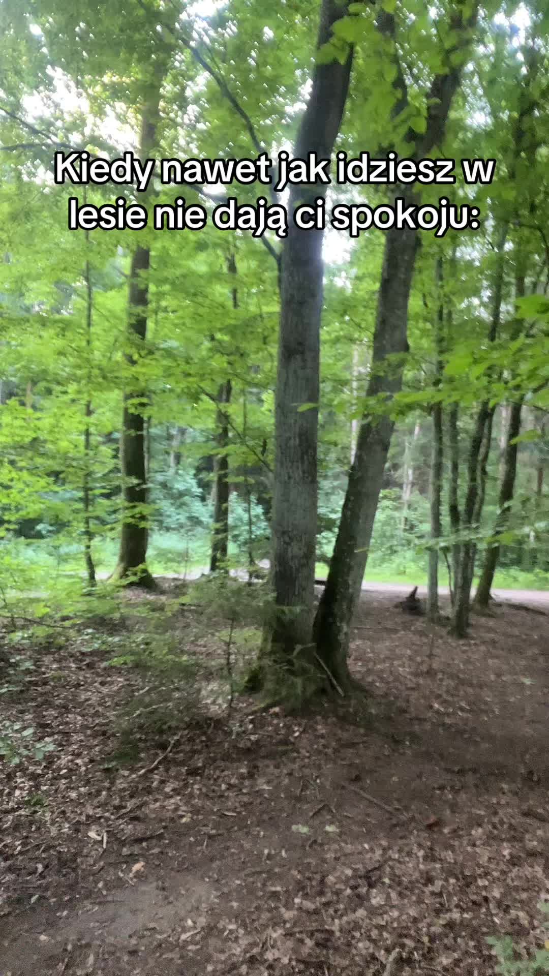 @Cheprio_s