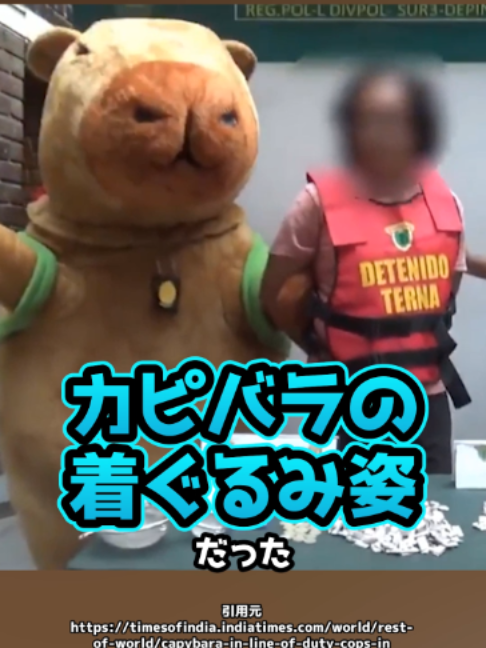 @岡野タケシ弁護士【アトム法律グループ】
