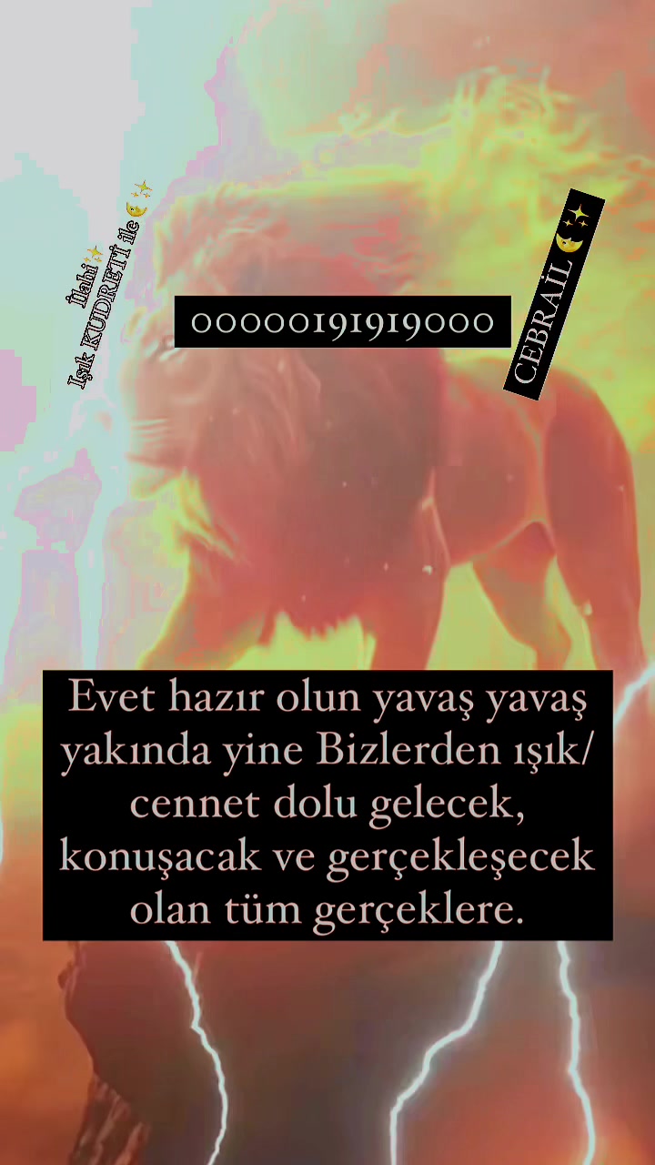 @Sultan 🌜y