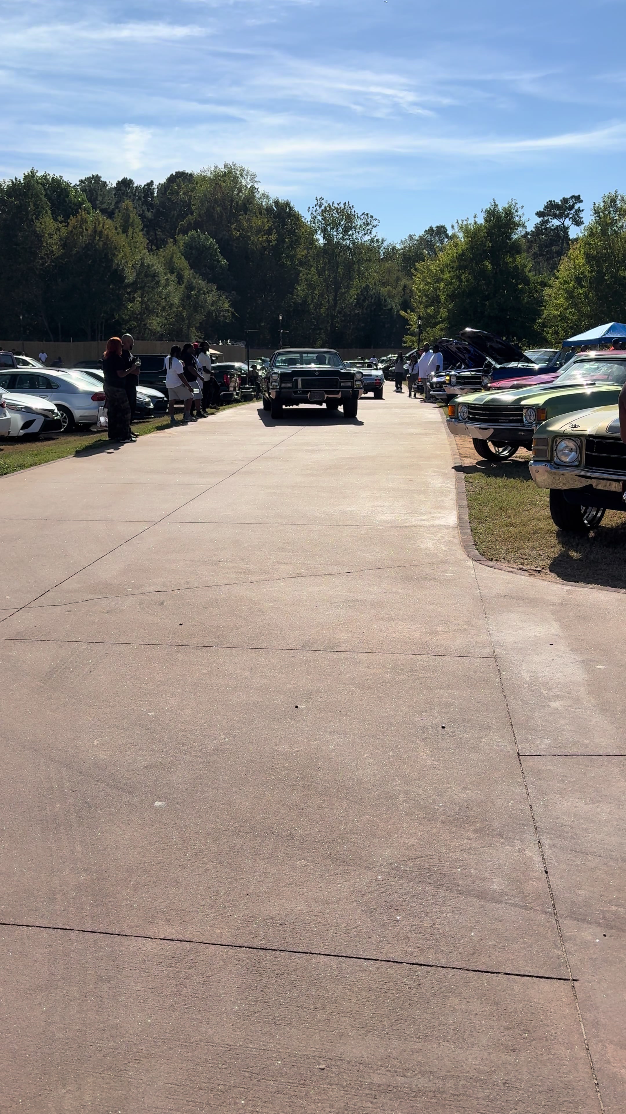 @PUG HOT ROD