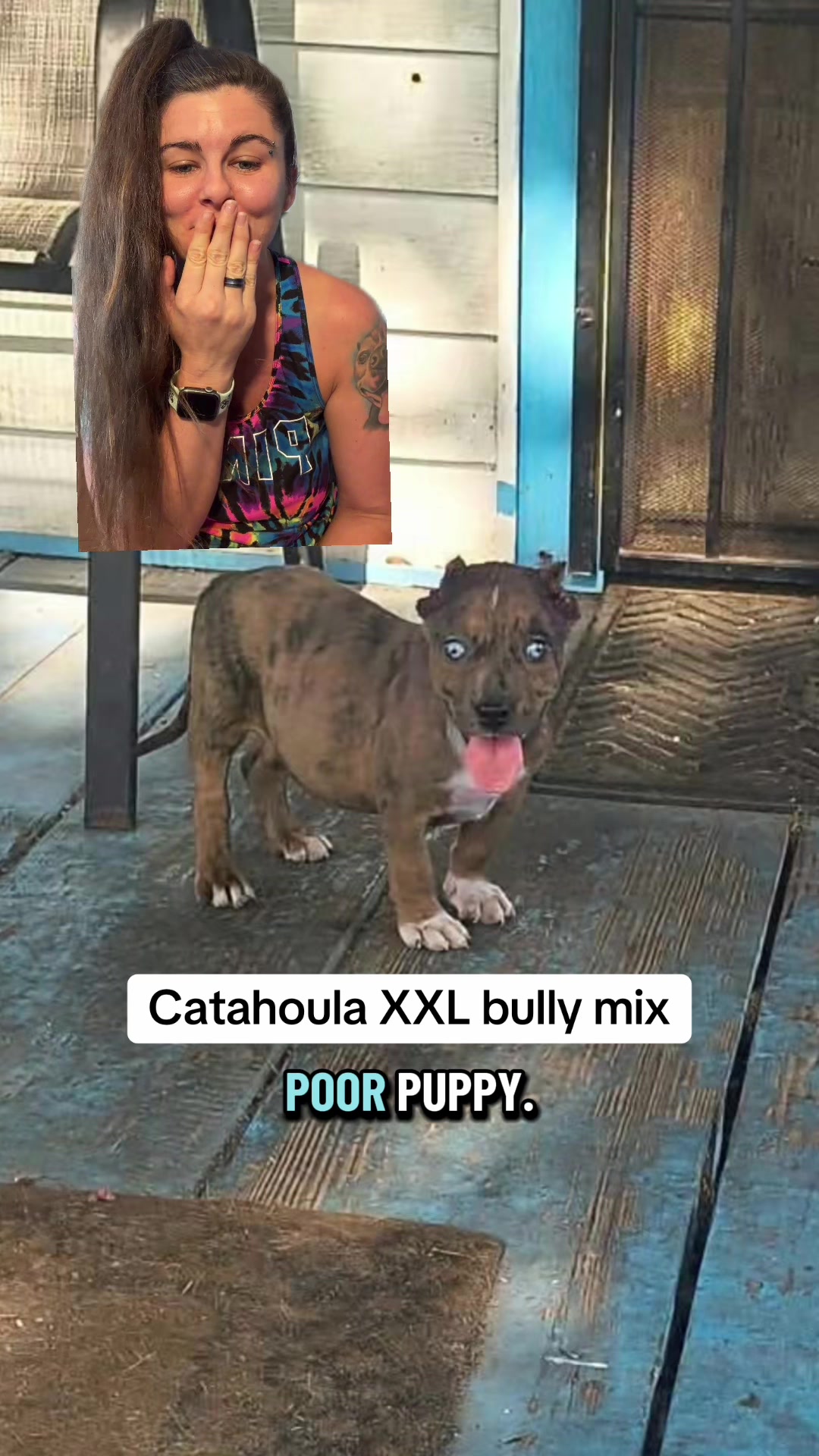 @Jess Shark🐾DOG PACK🐾