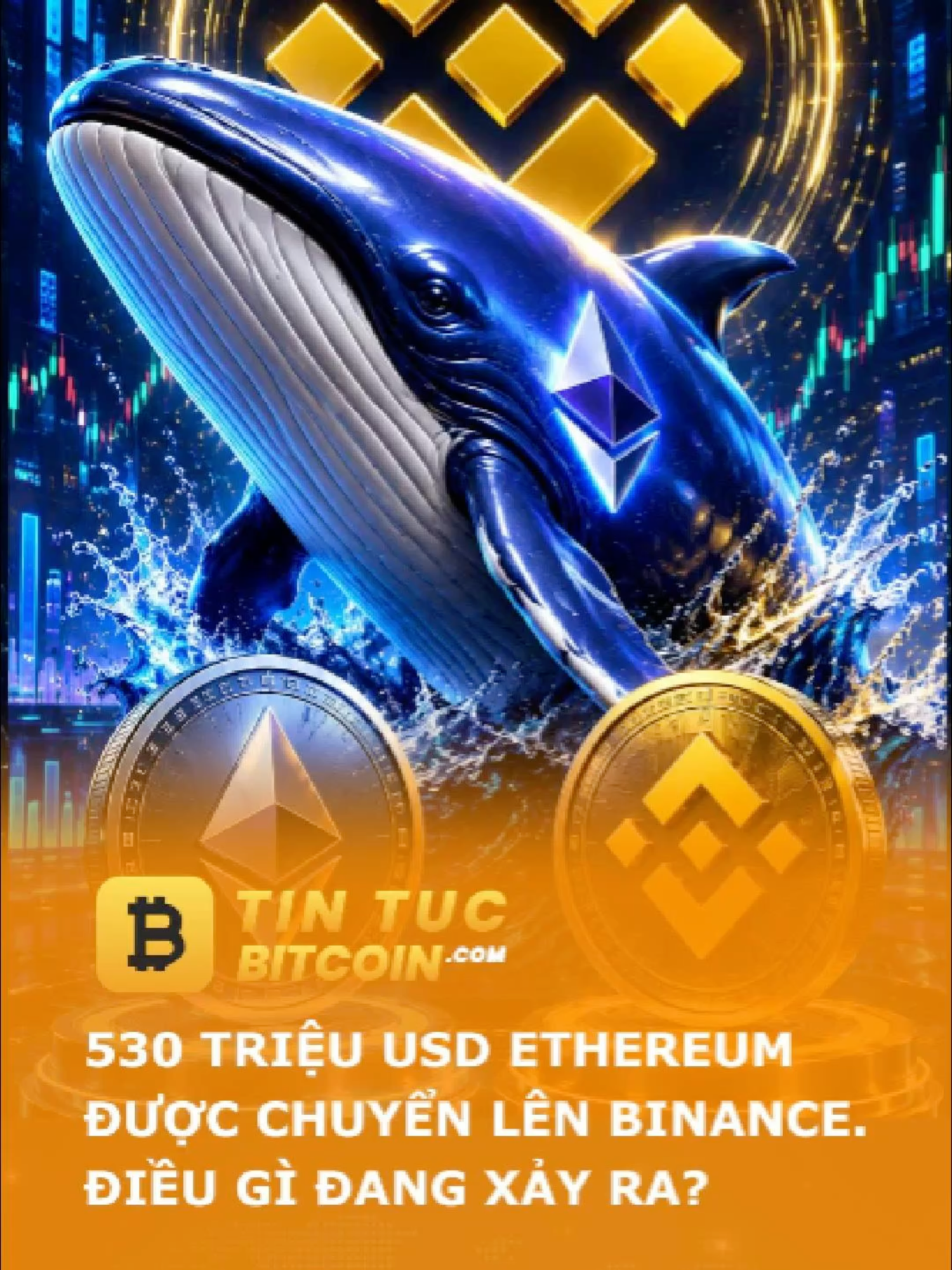 @Tin Tức BitCoin