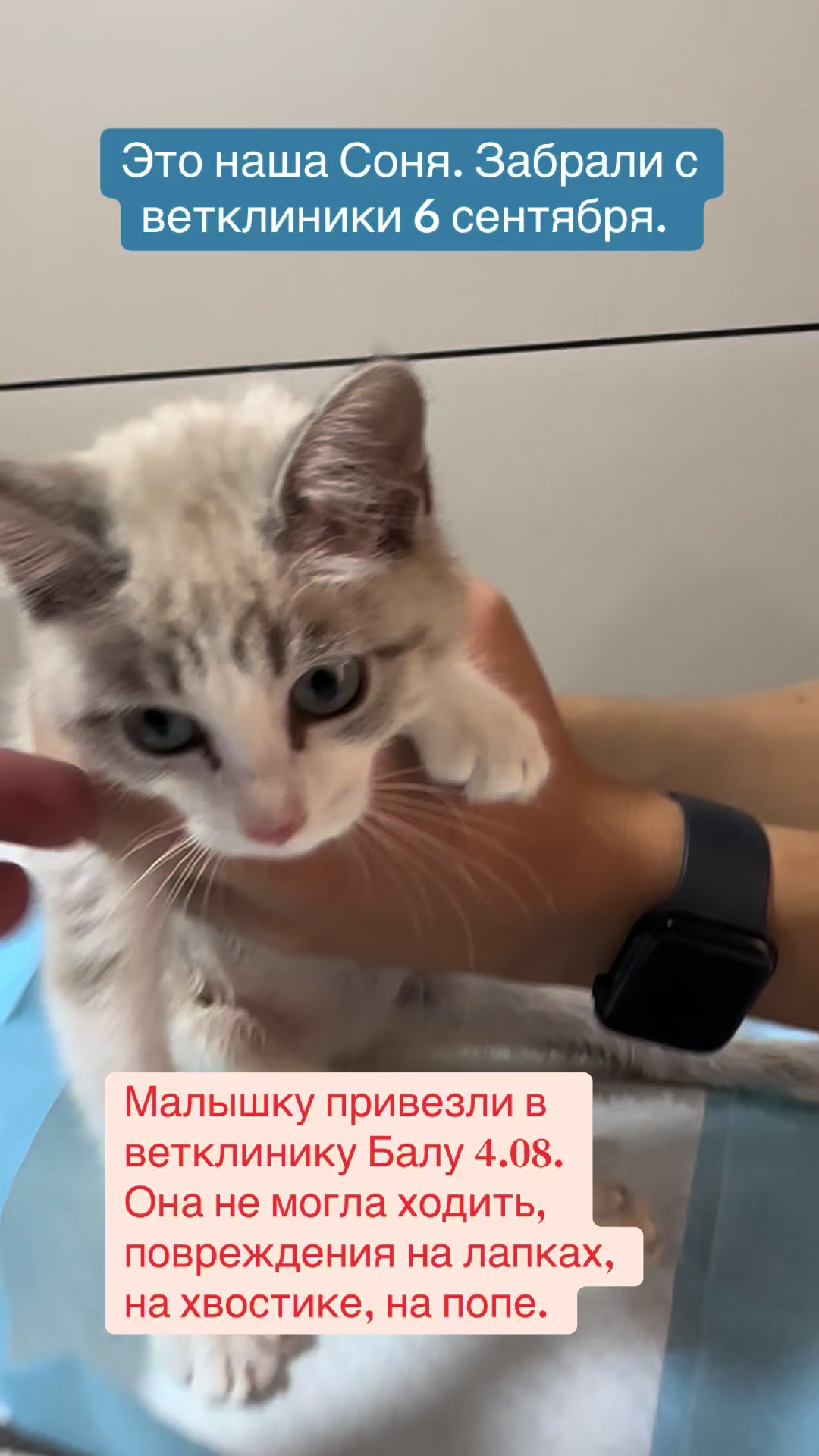 @Приют Ковчег Кыргызстан