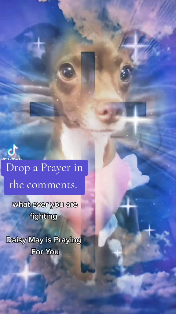 @DAISY MAY