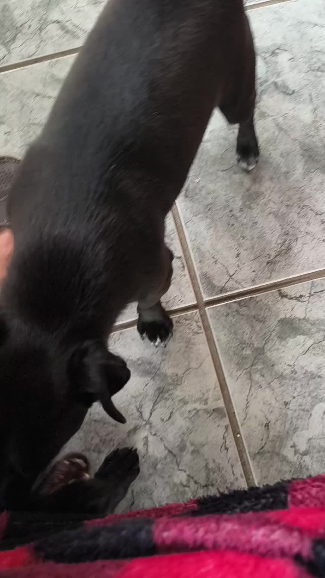 @Rekrama