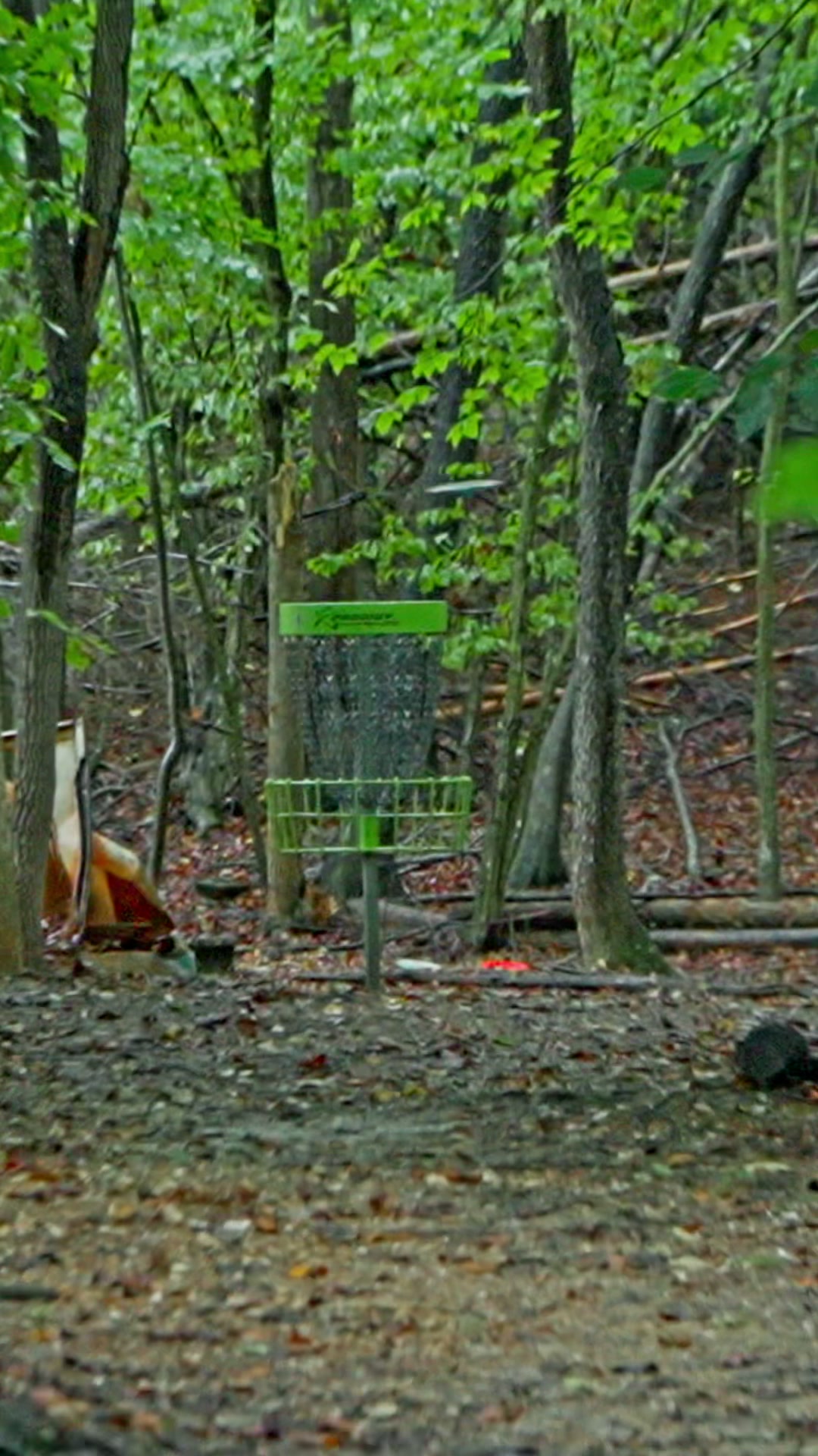 @Foundation DiscGolf