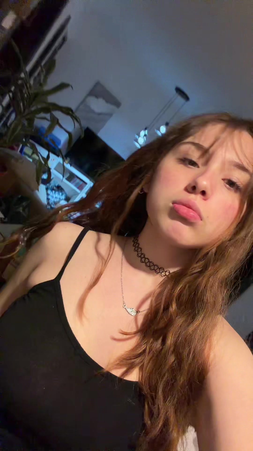 @🐩