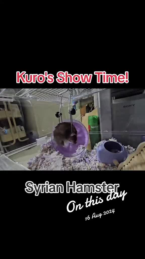 @MuvonMazlan
