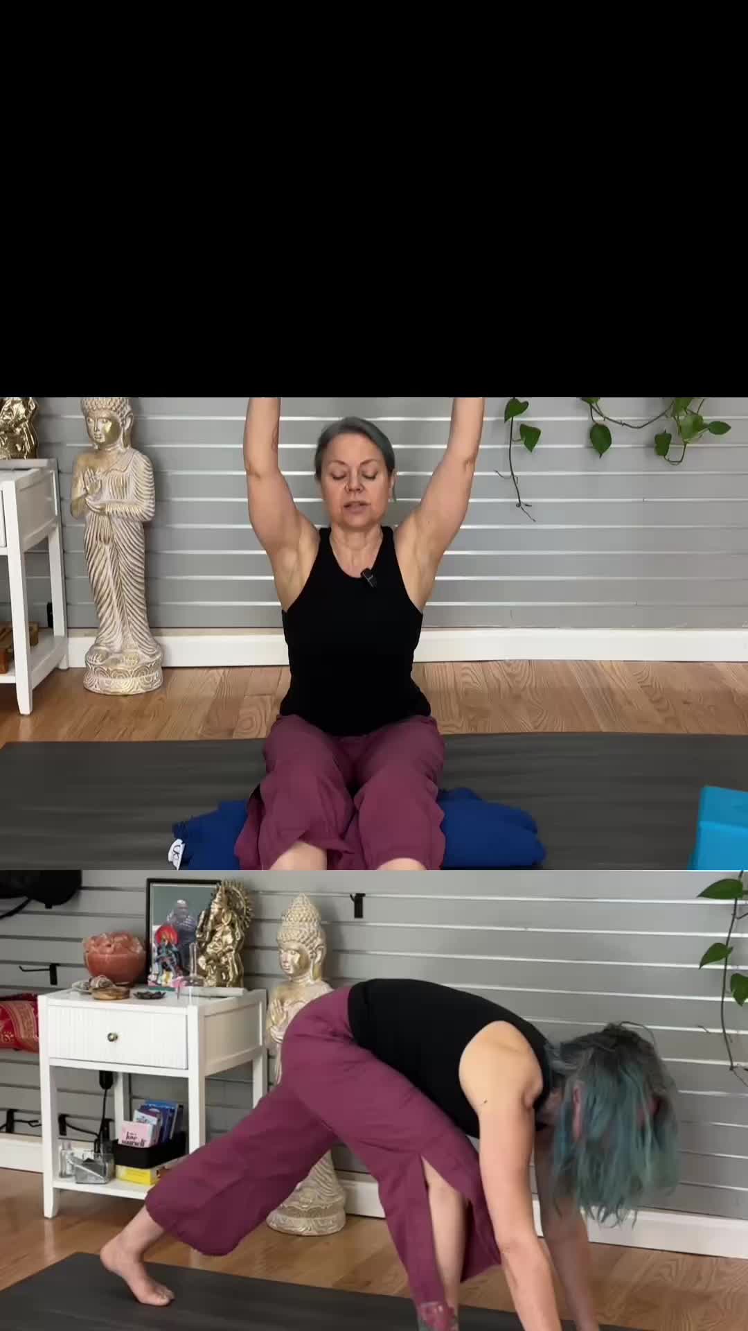 @Spira Lotus