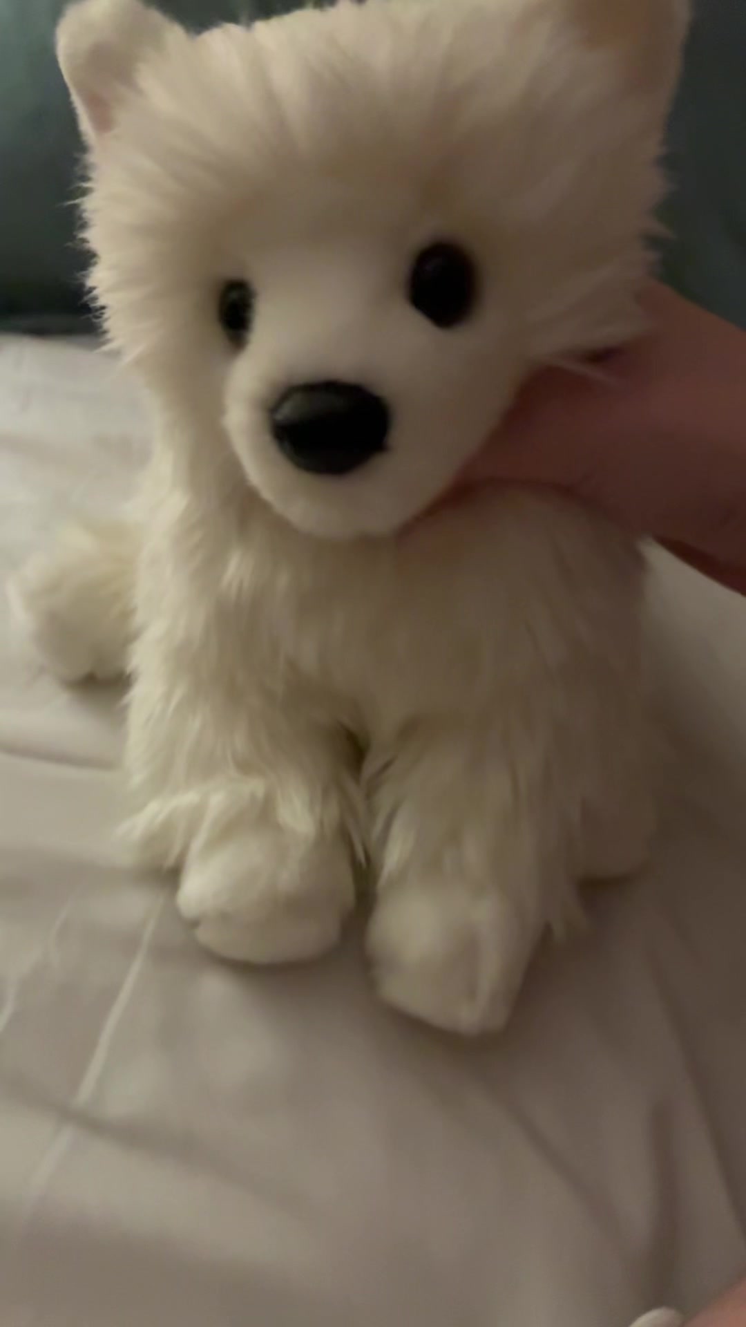 @~★🐾ᗪOᘜᑭᗩᗯՏ🐾★~