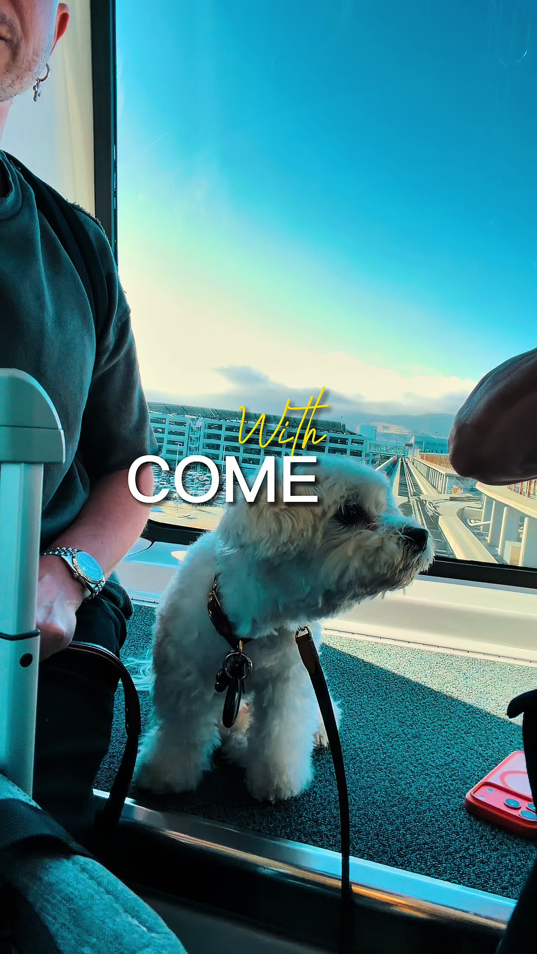 @Next Destination Travel