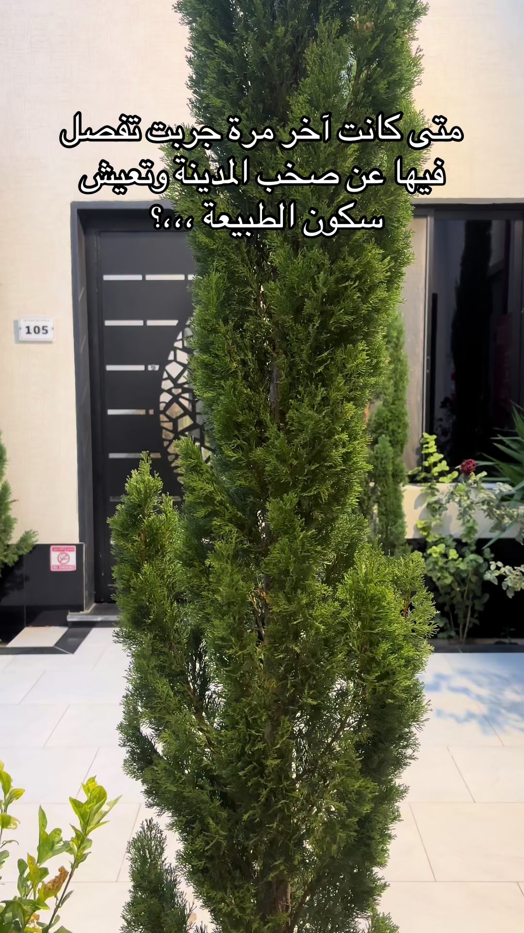 @Areej_alshafaa