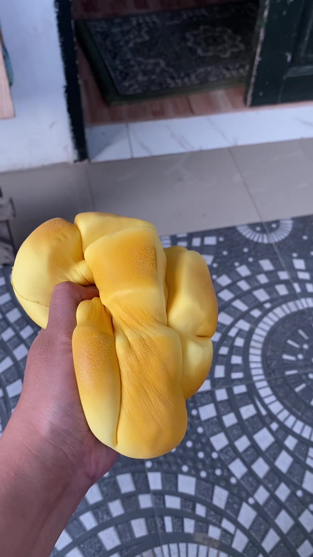 @๐๐๐๐พ๐๐ฝ๐ชผ