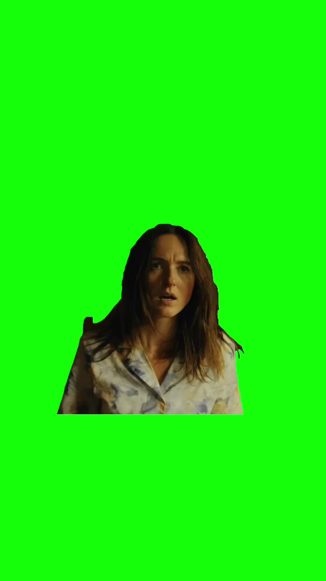 @Chief Green Screens