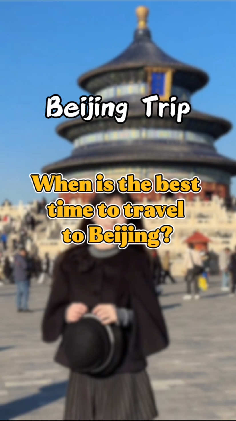 @金马国旅