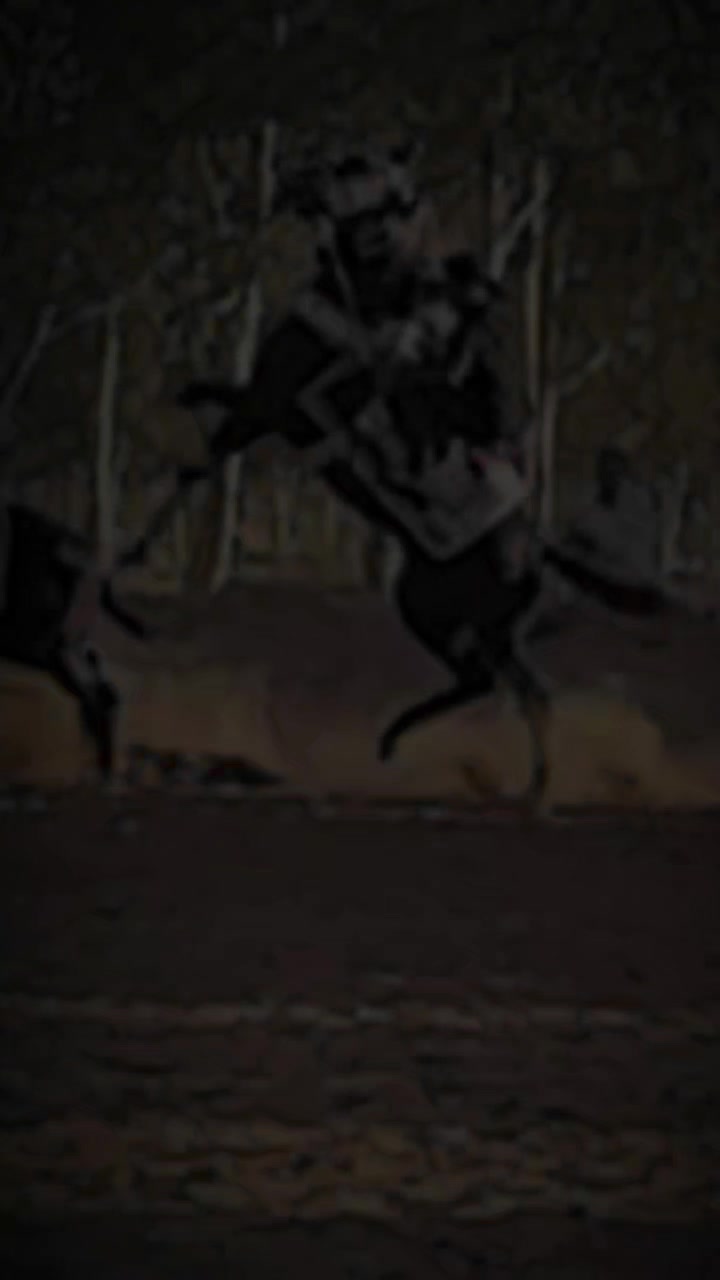 @محمد نافع❤️🔥🐴