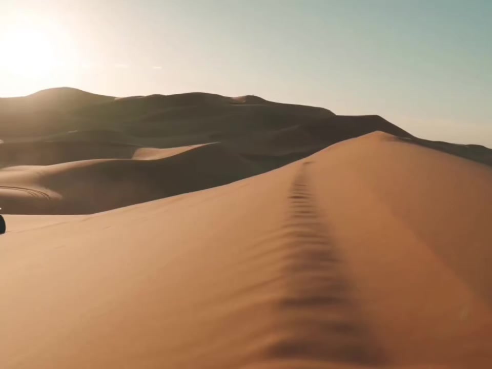 @XZRX • 7k