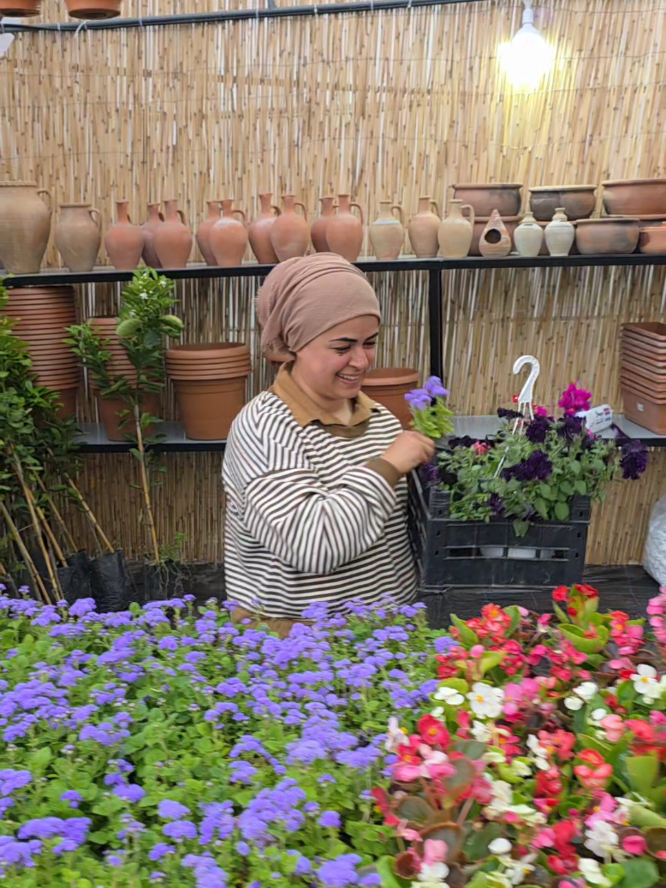 @Botanik bah&ccedil;esi flora
