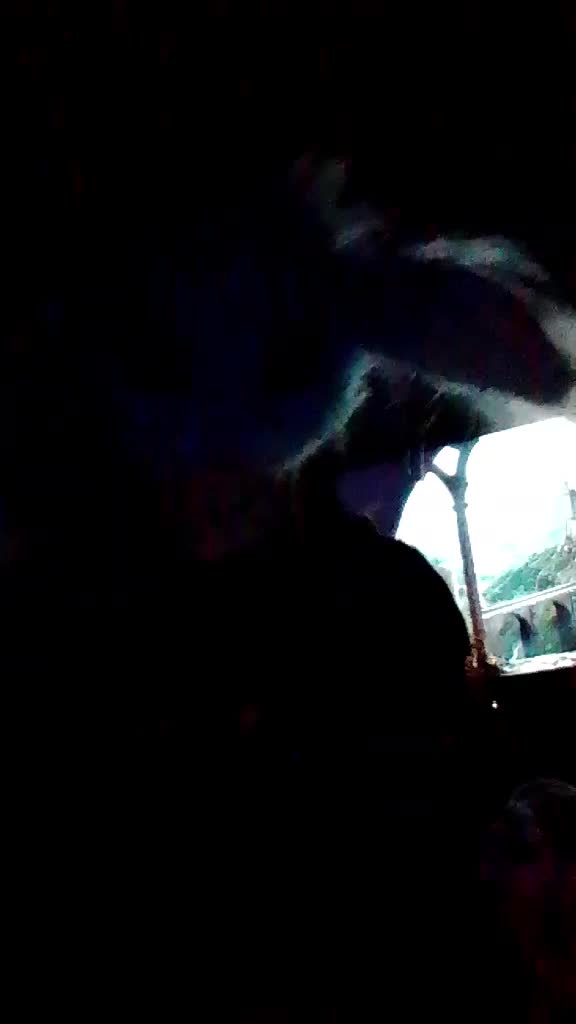 @📼╶⃝⃤luna.wolf╶⃝⃤📼
