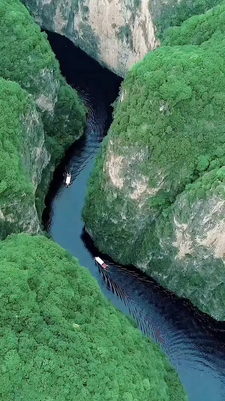 @Lionghoaho
