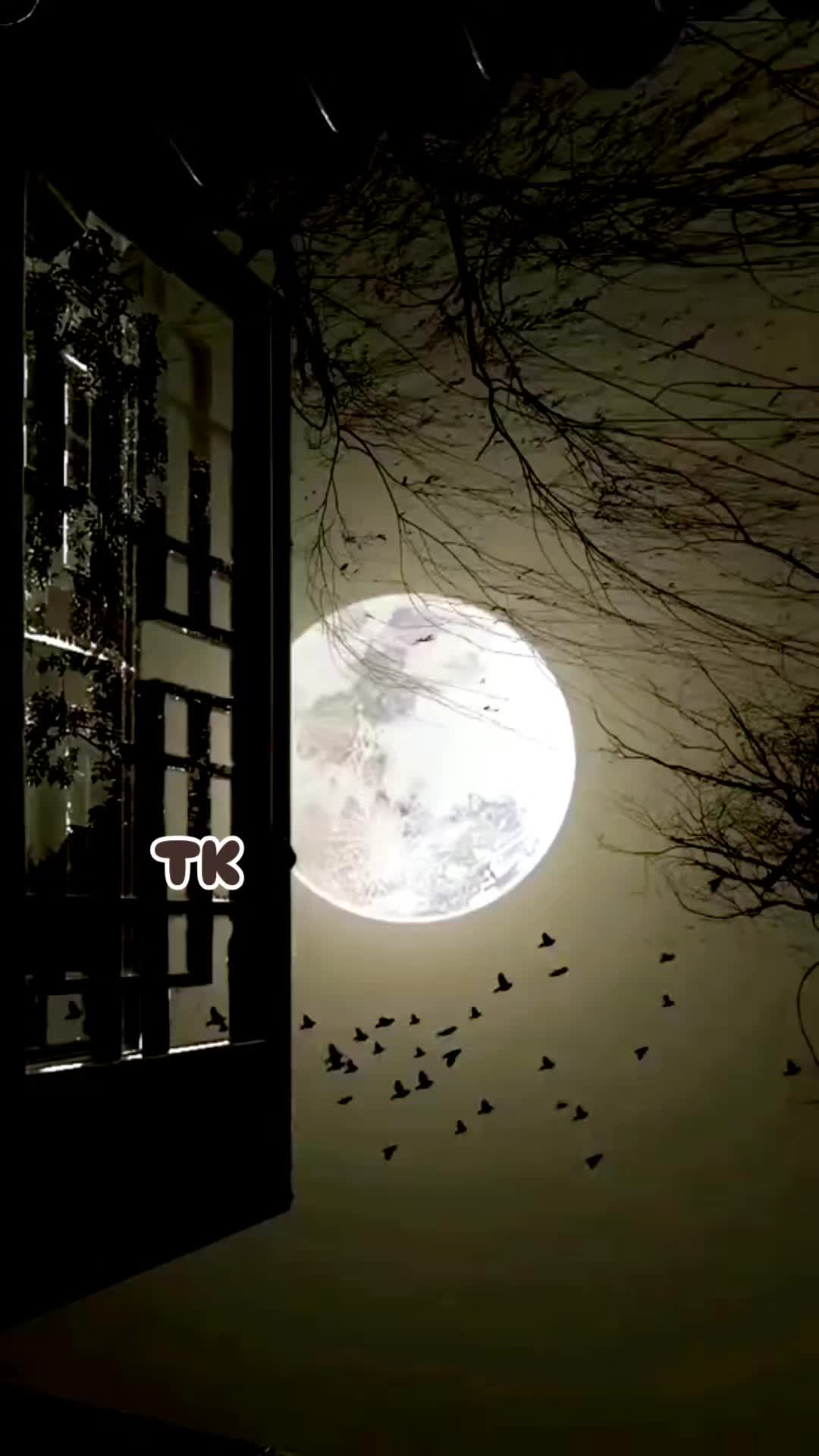 @❤️ TK ❤️