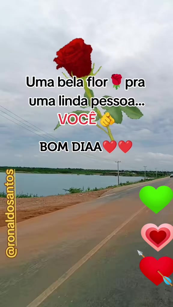 @ronaldosantos