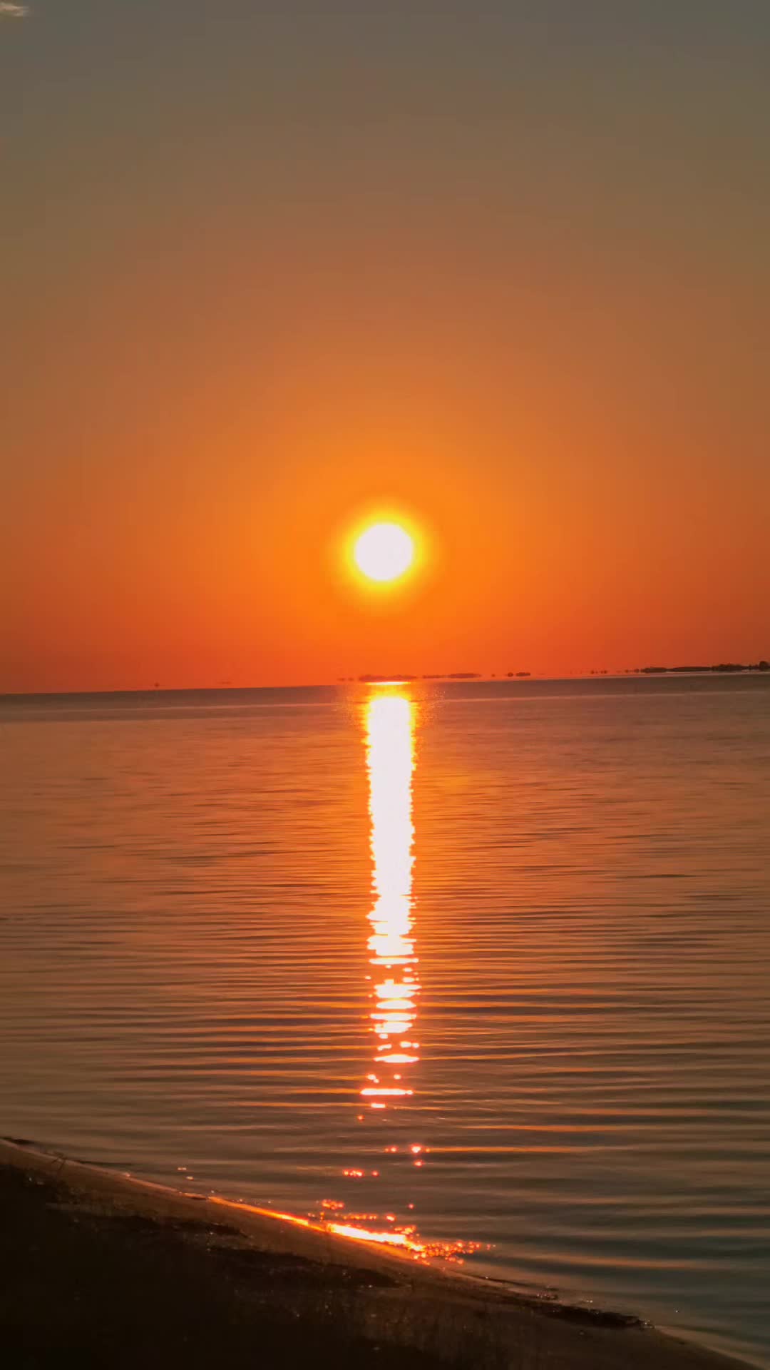 @haystack7777
