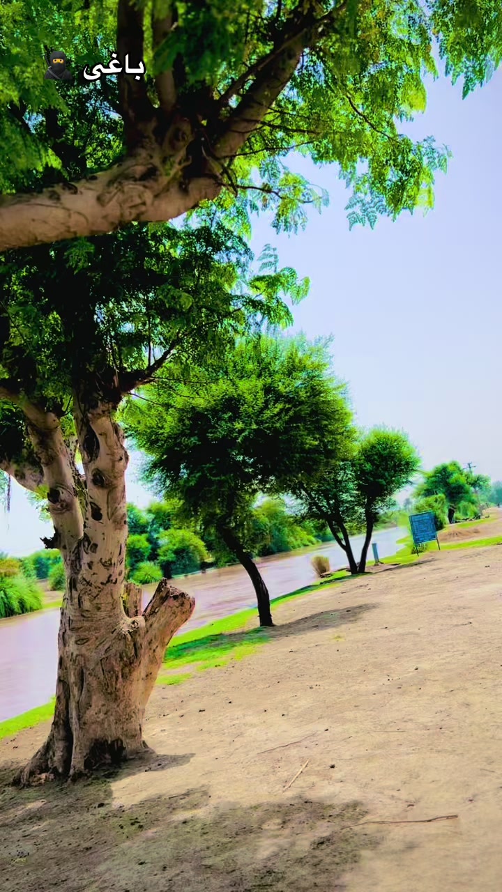 @کمانڈر ابوبکر گرواں