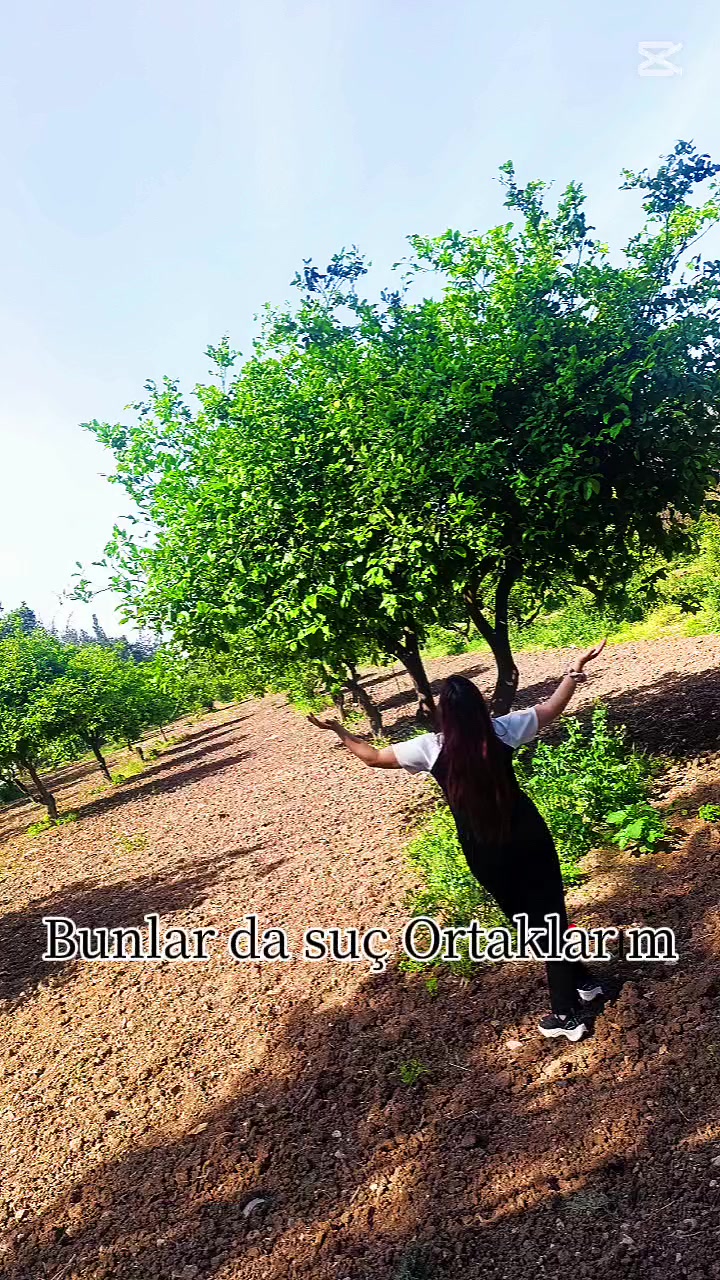 @Eda Tekerek