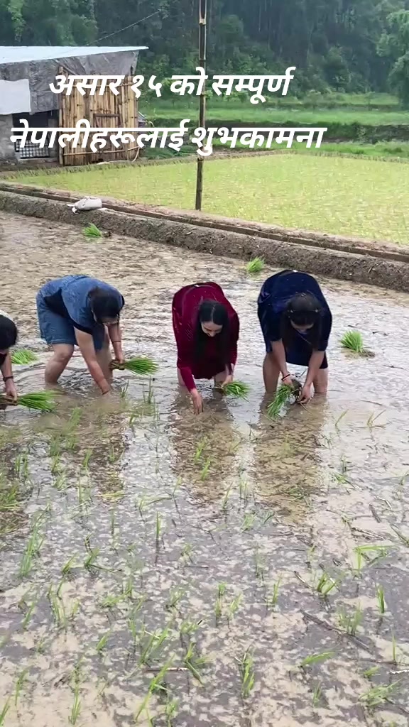 @सरु क्षेत्रि