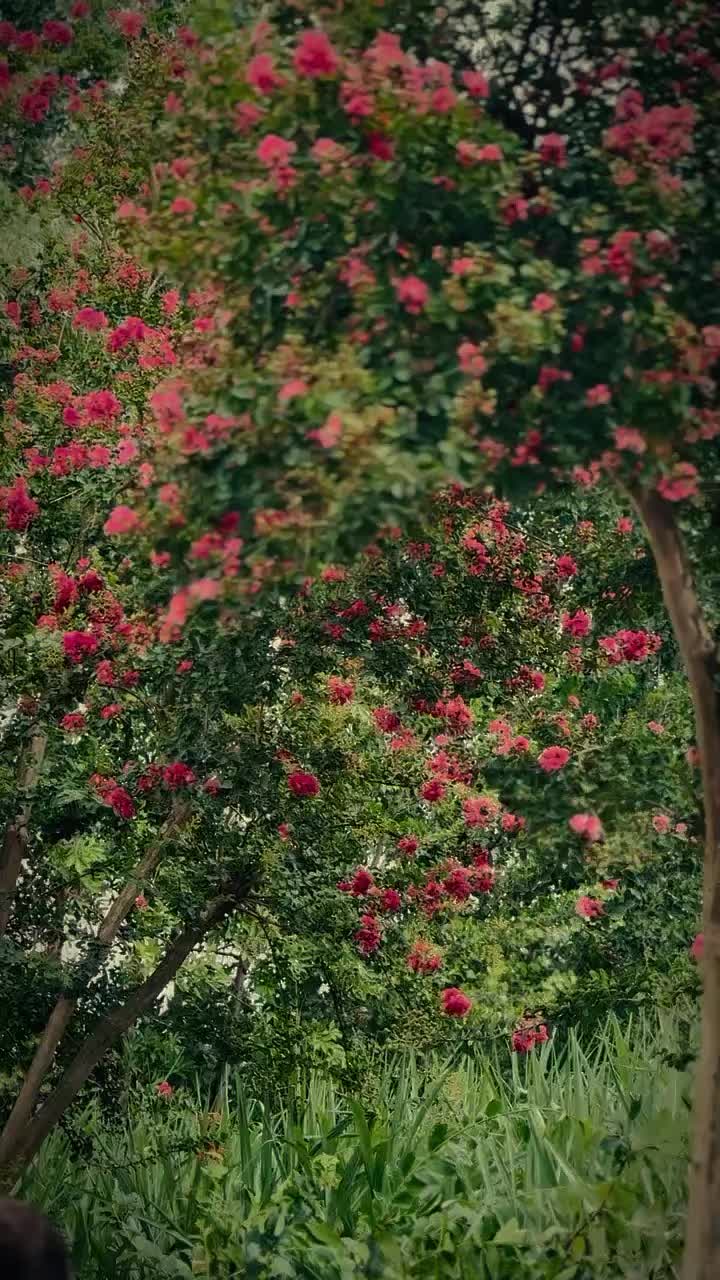 @بلاول خان BK 💜