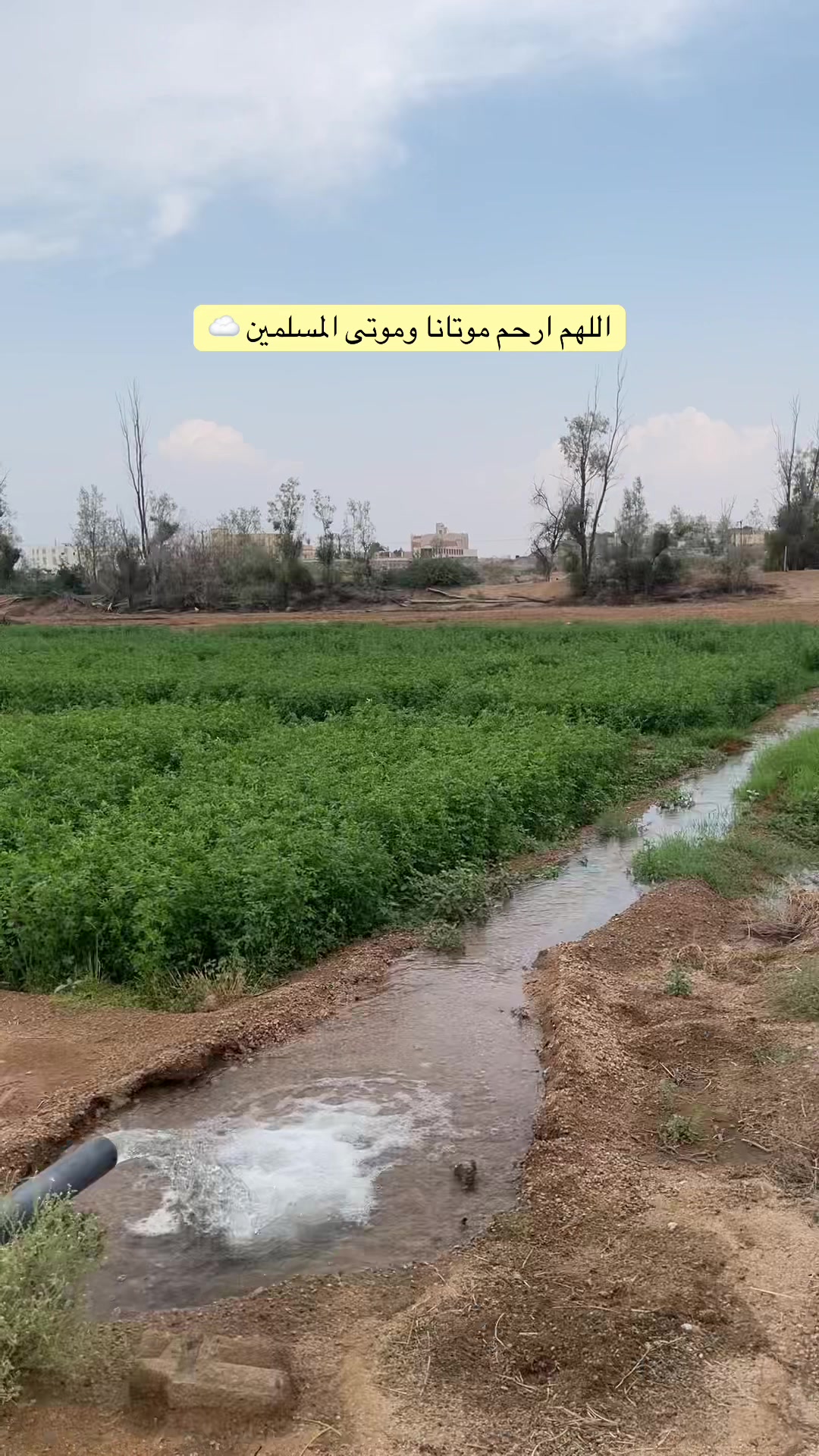 @مريـــــم الشهـــراني | أبها🏅