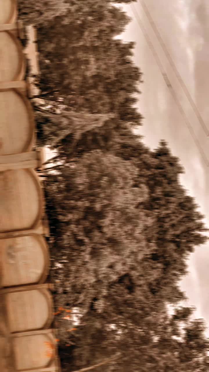 @ʟᴜʙɴᴀ ᴡᴀsᴇᴇᴍ☠️