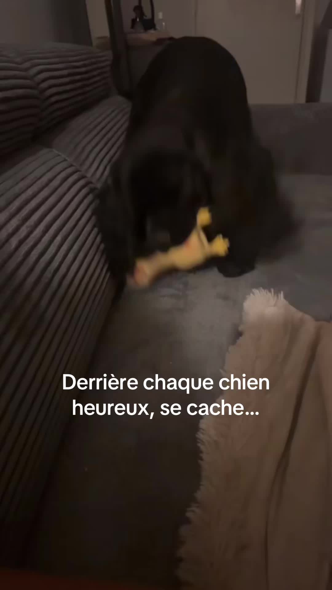 @Ornella🖤