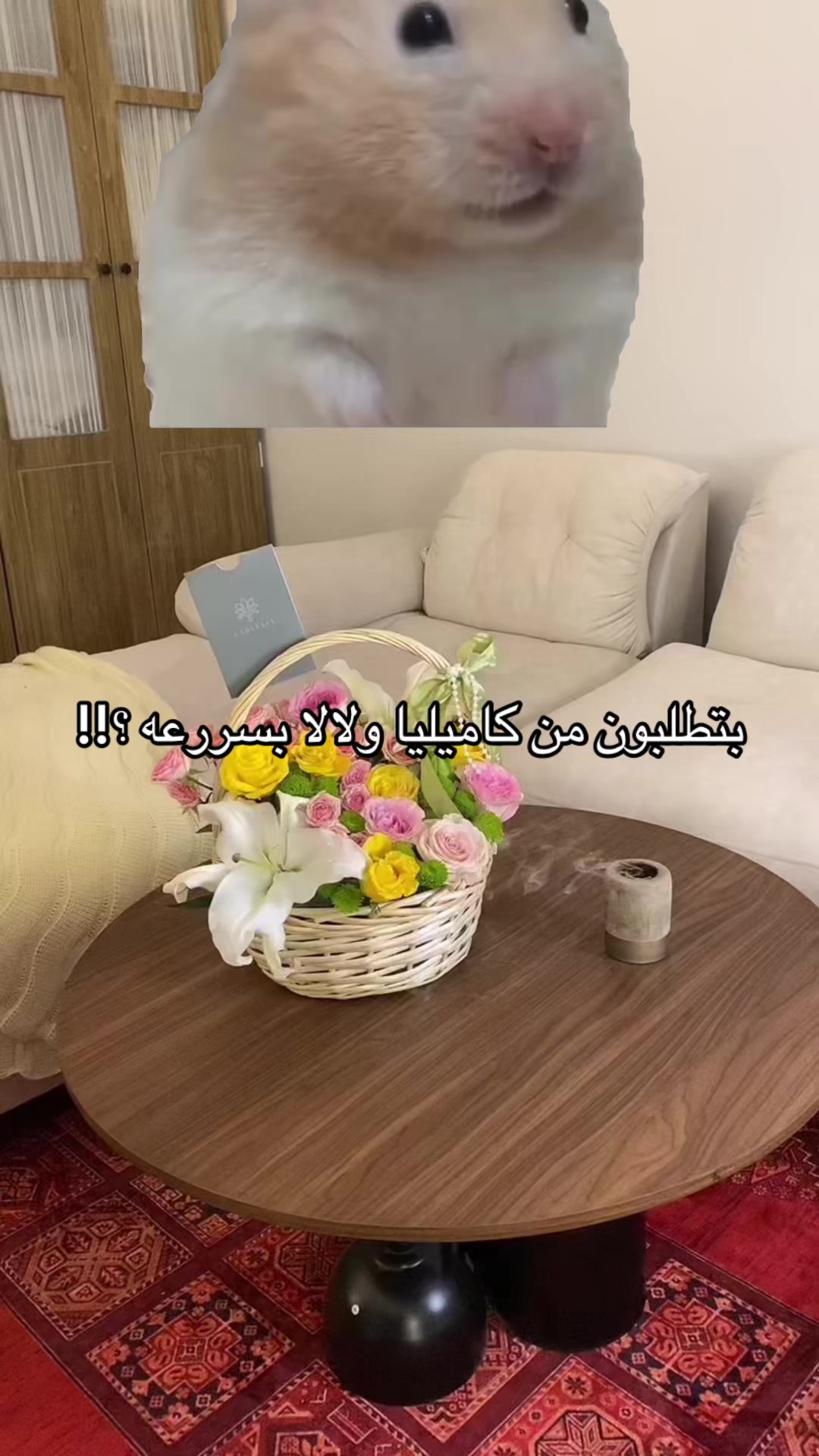 @CAMELLiA | أزهار كاميليا▫️🩷