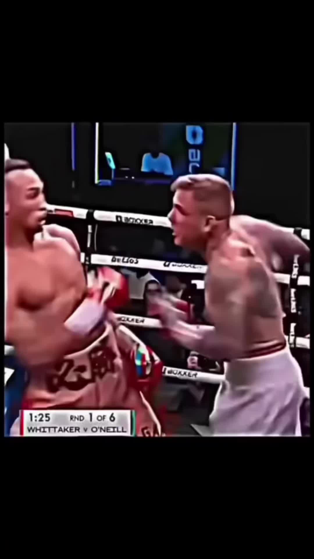 @BOXER