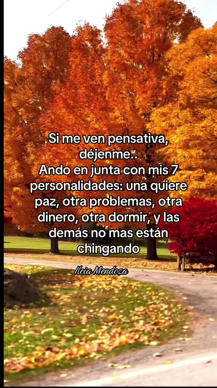 @Ilcia Mendoza🦋🌻🖤