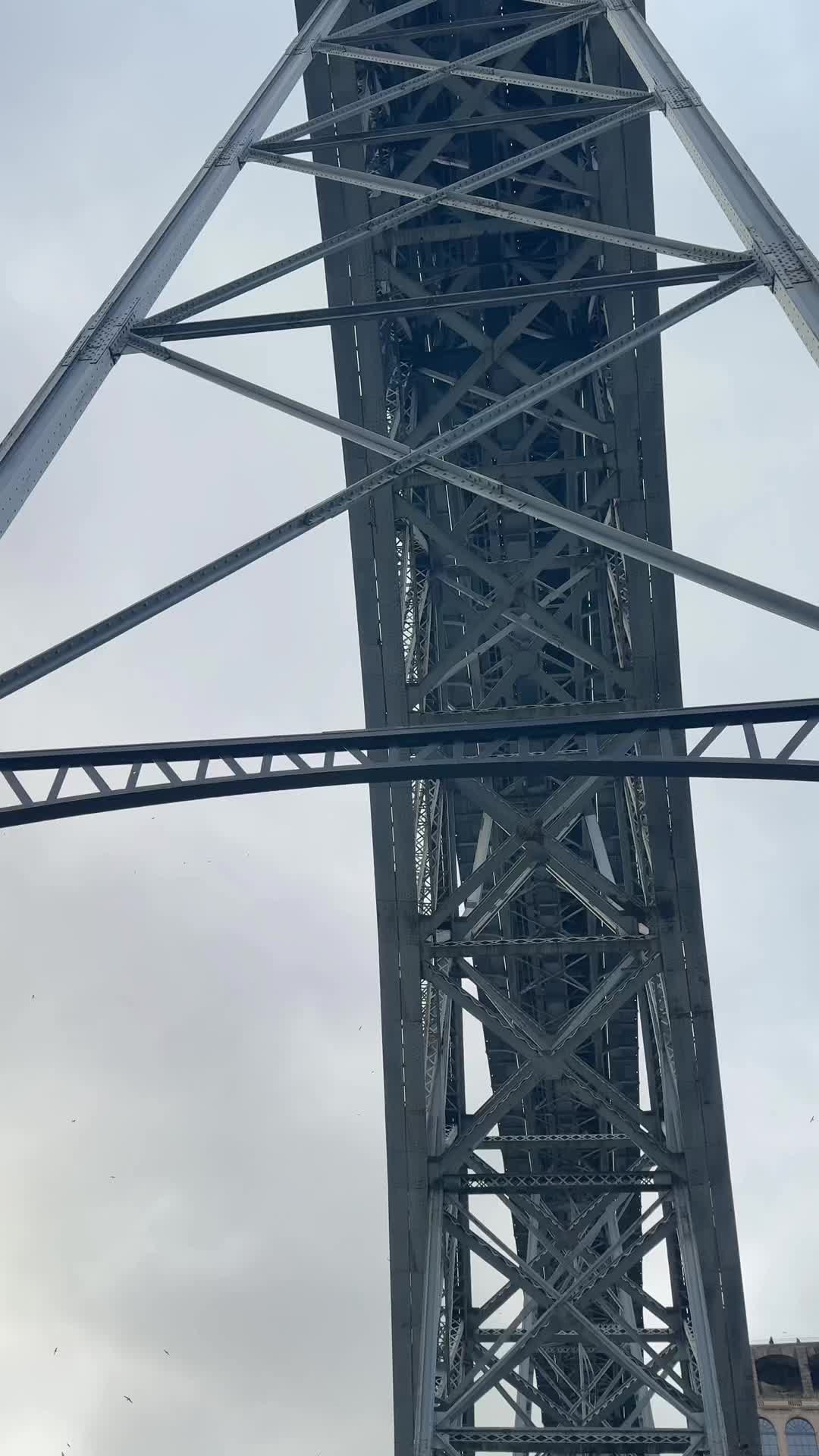 @Ritika❤️
