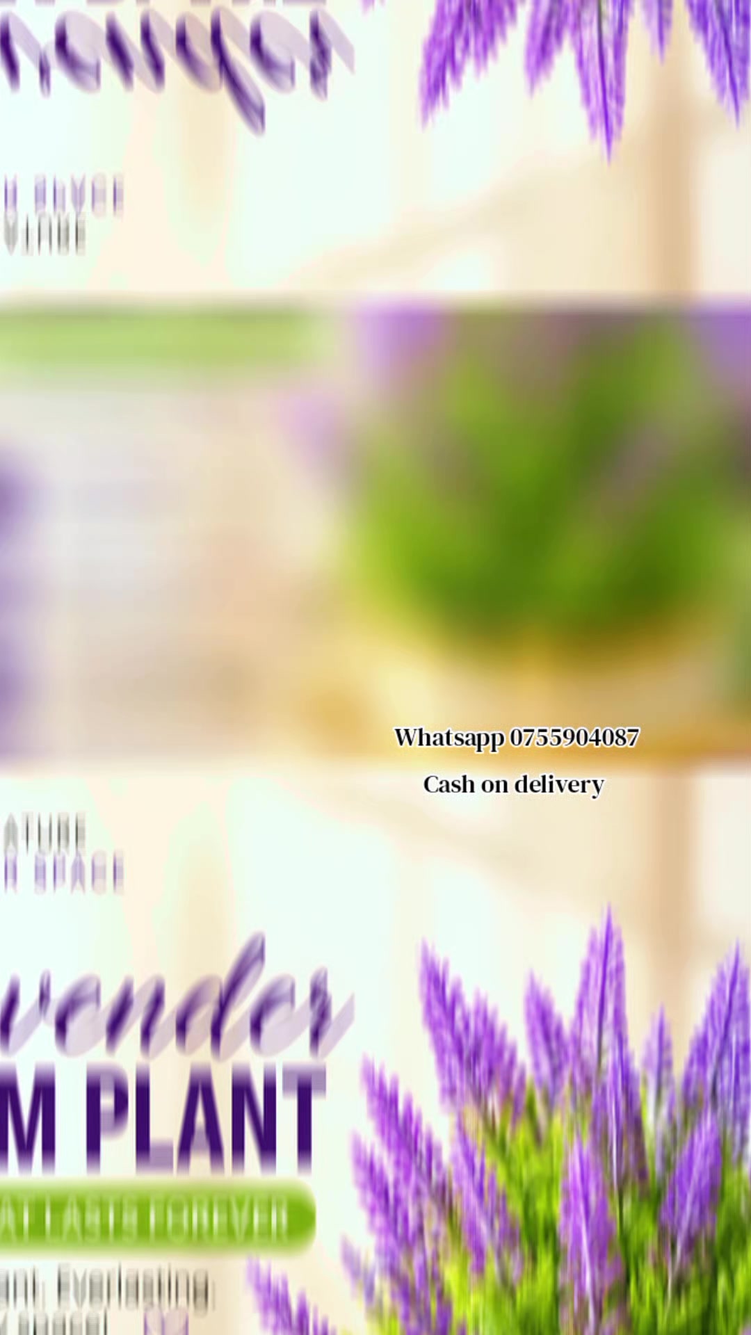 @ᴀᴀʟɪʏᴀ ᴏɴʟɪɴᴇ ᴍᴀʀᴛ